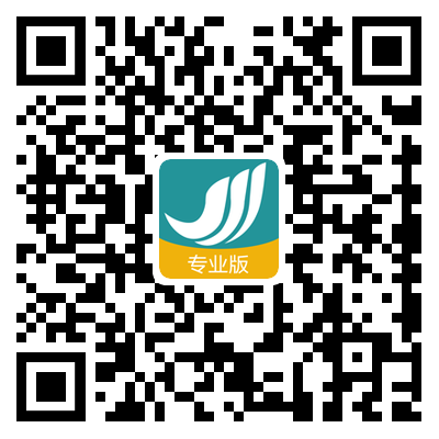 职业版